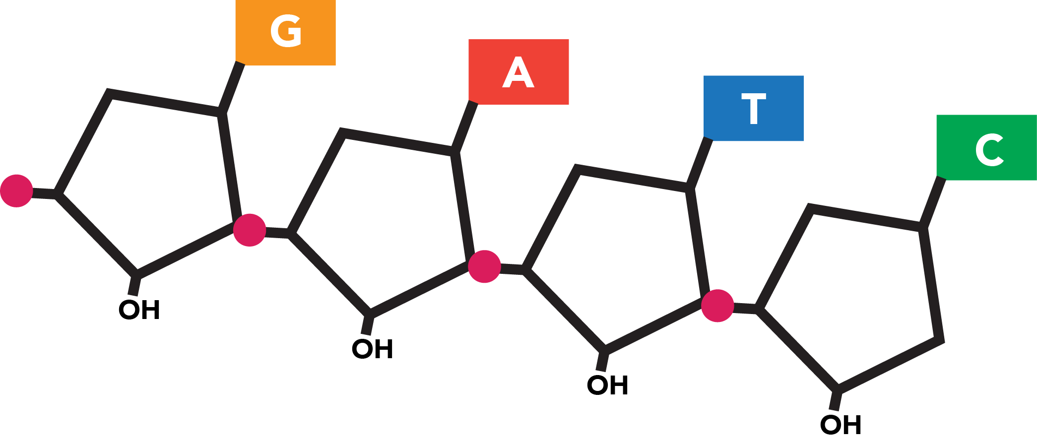 More DNA