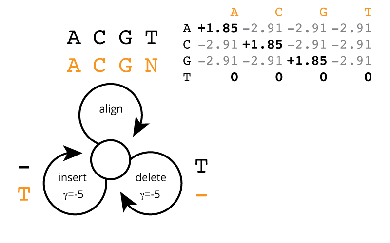 Figure showing the
state machine model and log-likelihood-ratio scores for aligning
Moriarty's reads to a source sequence, with +1.85 bits for each
identical
A|C|G alignment, -2.91 bits for each mismatch to an actual A|C|G, 
and 0 bits for alignments to a T in the actual sequence.