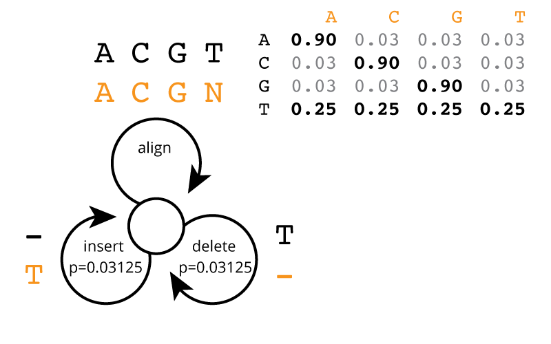 Figure showing the
state machine model with probabilities for generating insertions,
deletions, and substitutions in an observed read from an actual spacer
sequence.